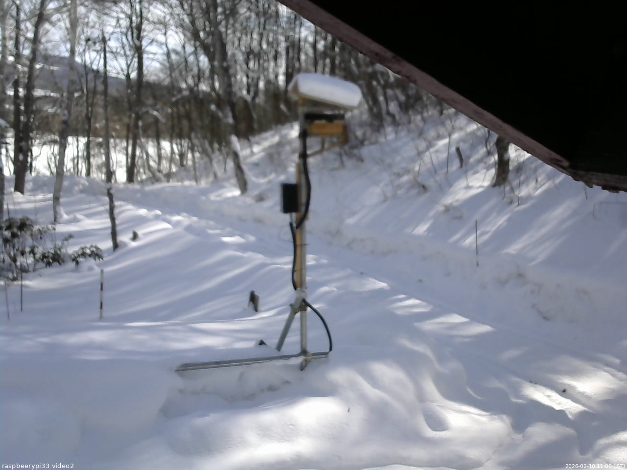 長野県菅平高原 ゆたか山荘 南側 2026/02/10 11:00