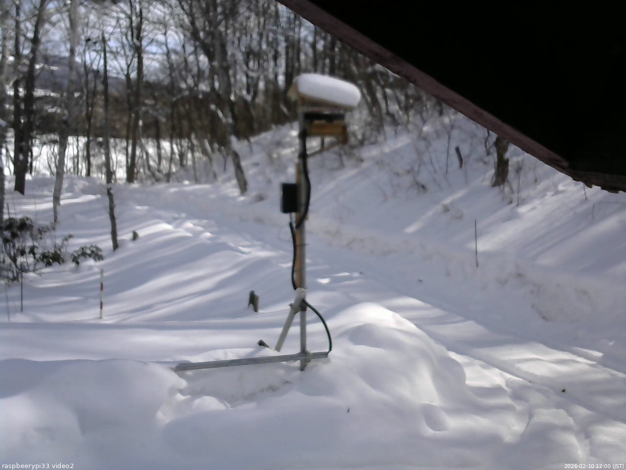 長野県菅平高原 ゆたか山荘 南側 2026/02/10 12:00