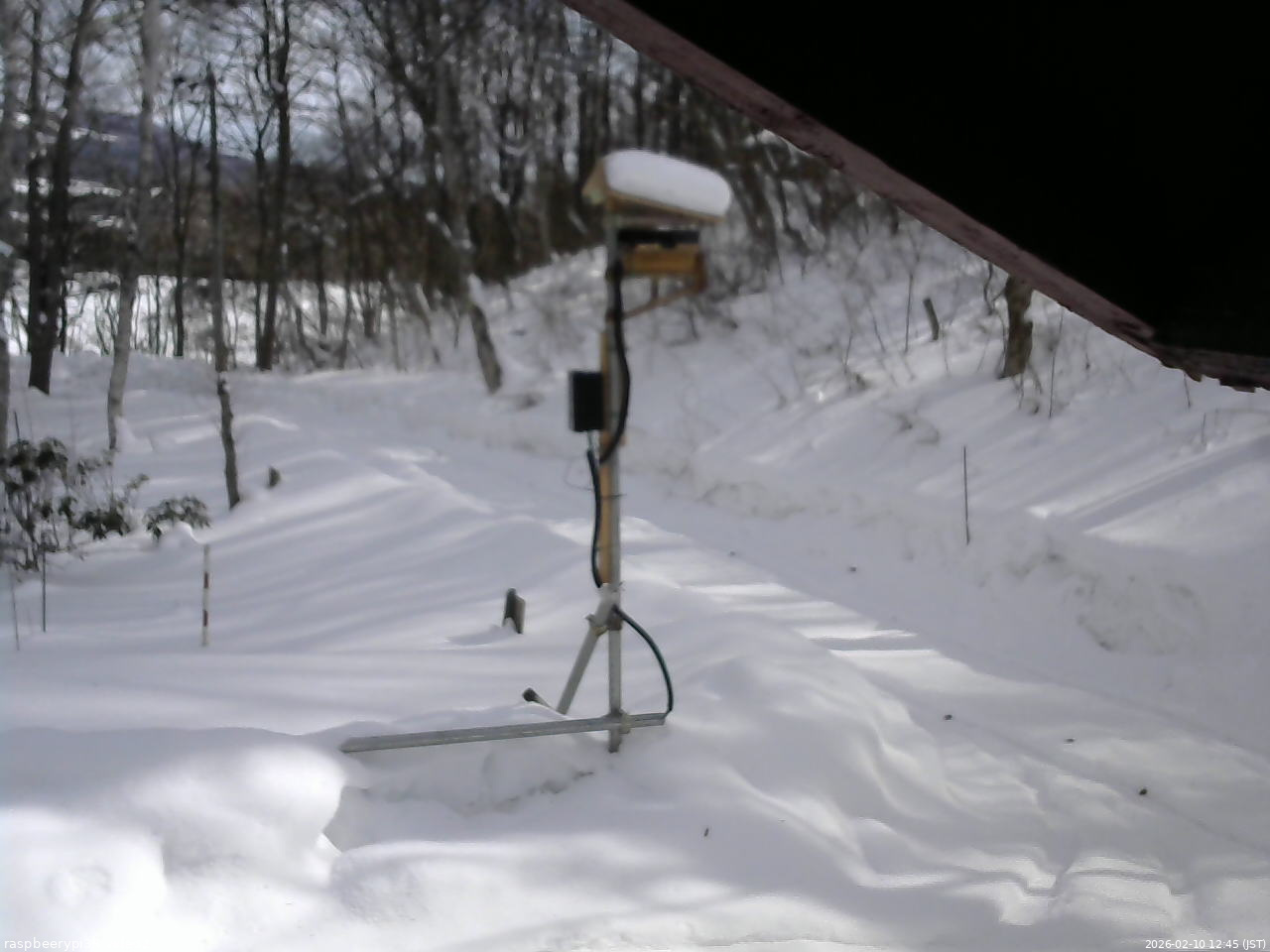 長野県菅平高原 ゆたか山荘 南側 2026/02/10 12:45