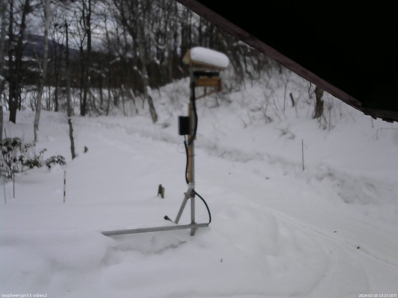 長野県菅平高原 ゆたか山荘 南側 2026/02/10 13:15