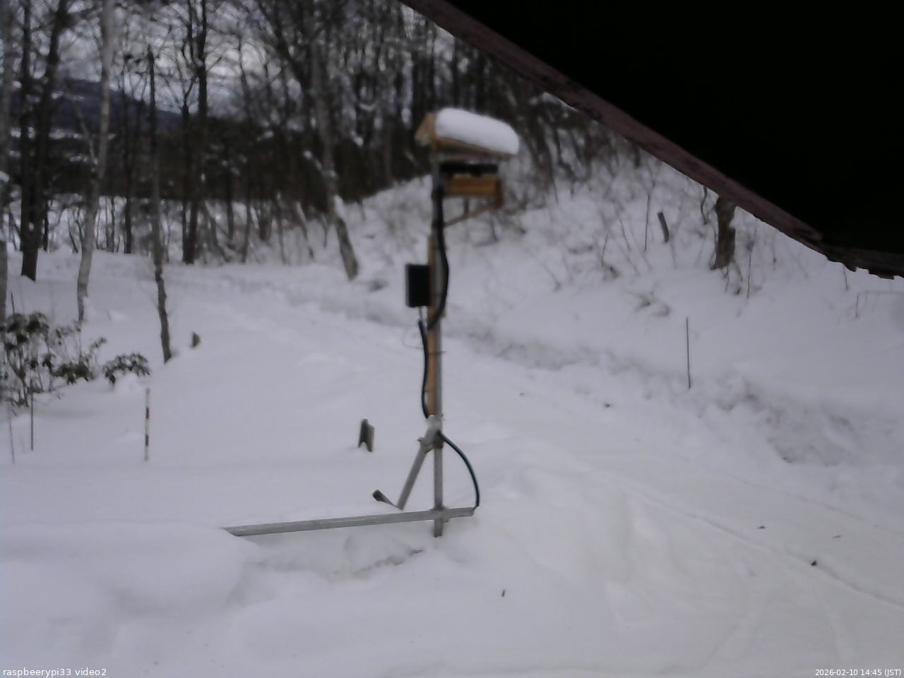 長野県菅平高原 ゆたか山荘 南側 2026/02/10 14:45