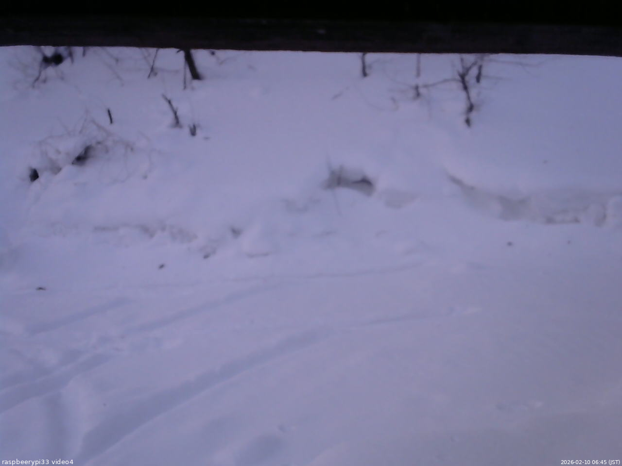 長野県菅平高原 ゆたか山荘 東側(坂下) 2026/02/10 06:45