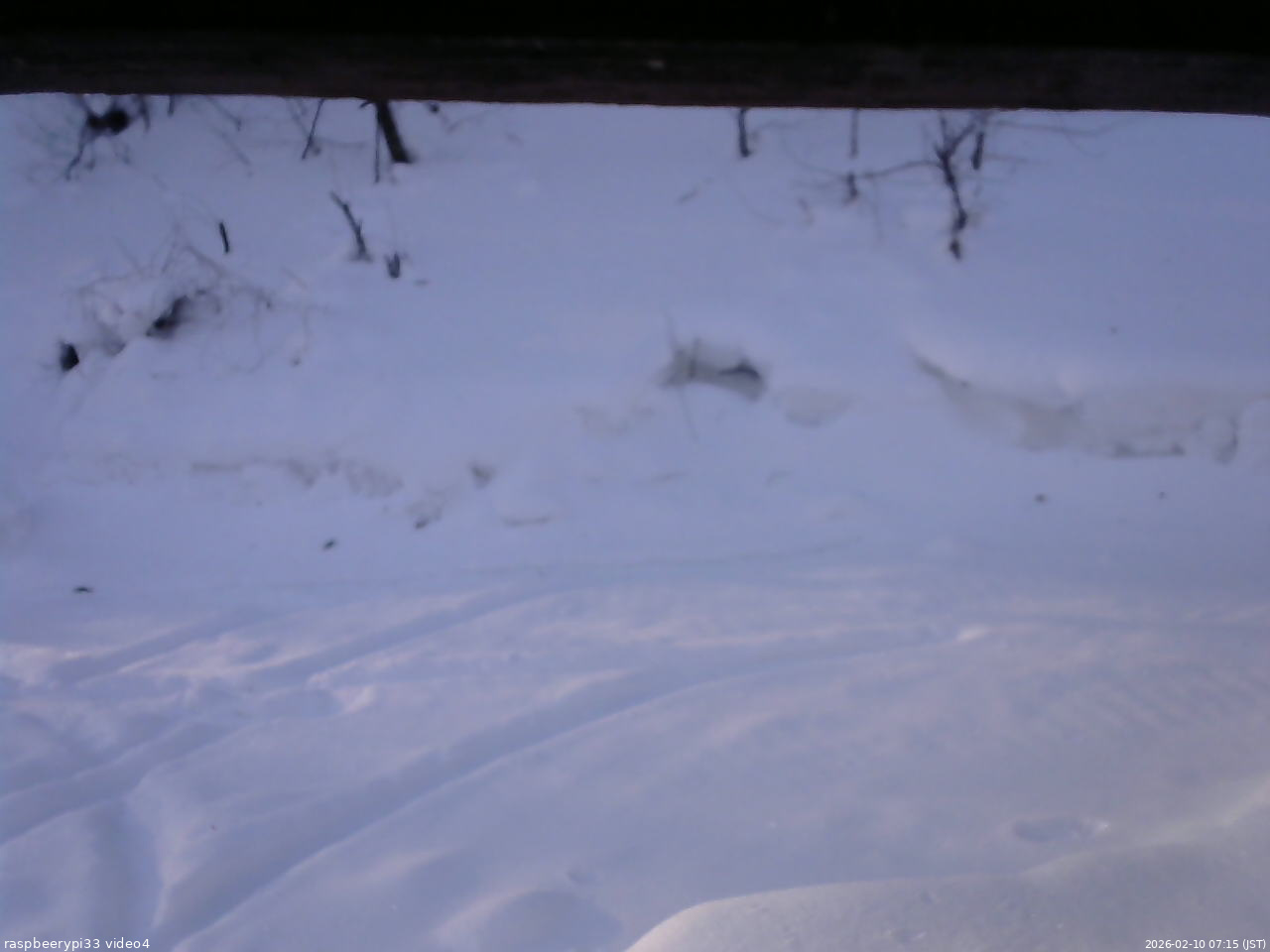 長野県菅平高原 ゆたか山荘 東側(坂下) 2026/02/10 07:15