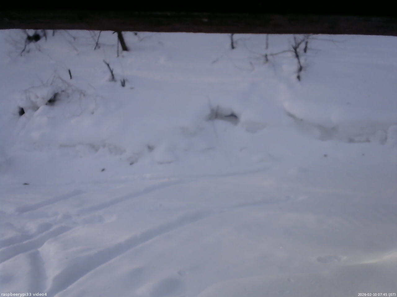 長野県菅平高原 ゆたか山荘 東側(坂下) 2026/02/10 07:45