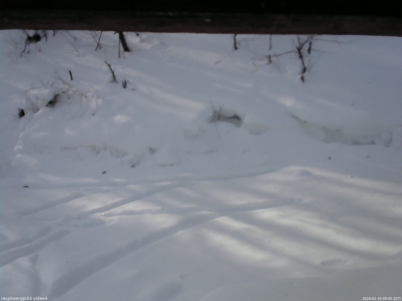 長野県菅平高原 ゆたか山荘 東側(坂下) 2026/02/10 09:00
