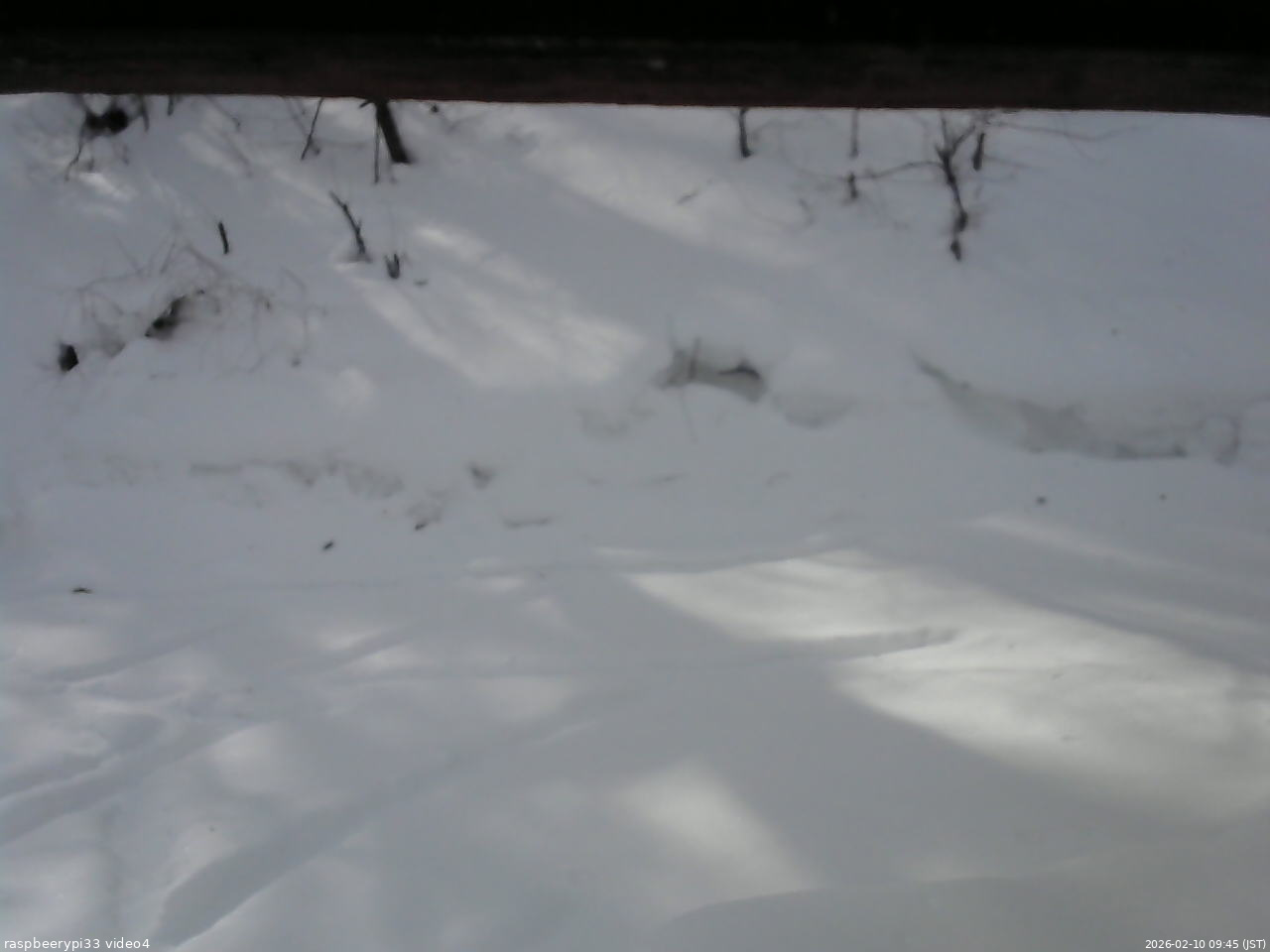 長野県菅平高原 ゆたか山荘 東側(坂下) 2026/02/10 09:45