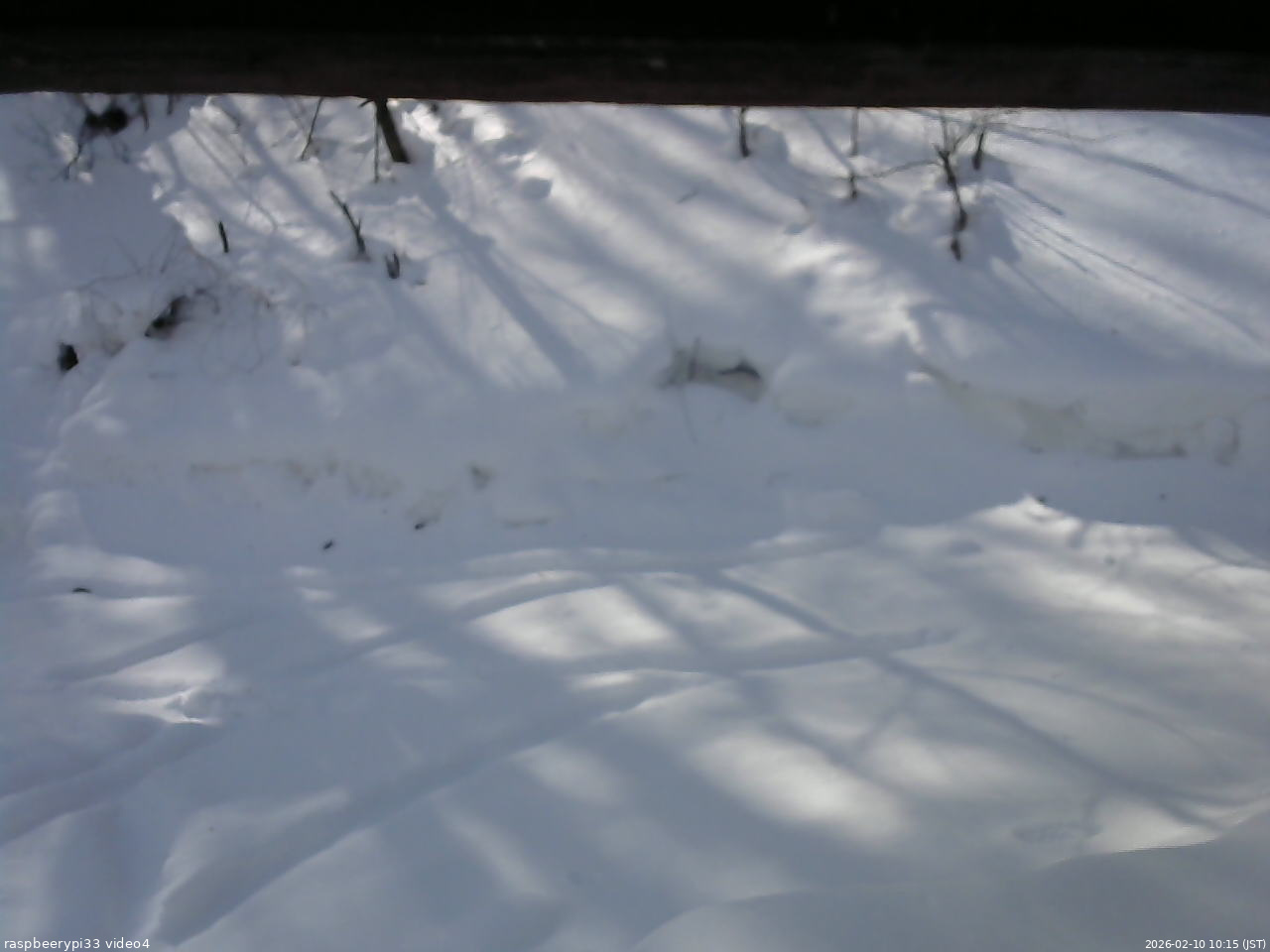 長野県菅平高原 ゆたか山荘 東側(坂下) 2026/02/10 10:15