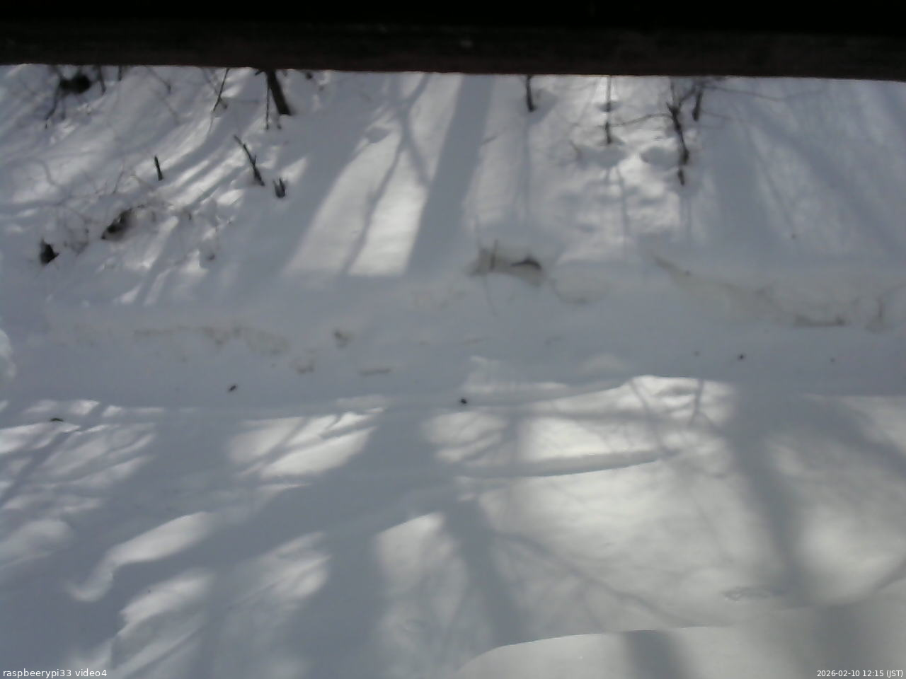 長野県菅平高原 ゆたか山荘 東側(坂下) 2026/02/10 12:15