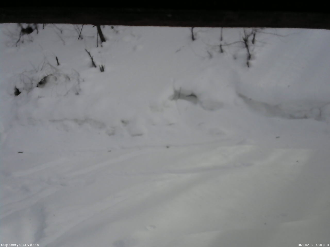 長野県菅平高原 ゆたか山荘 東側(坂下) 2026/02/10 14:00