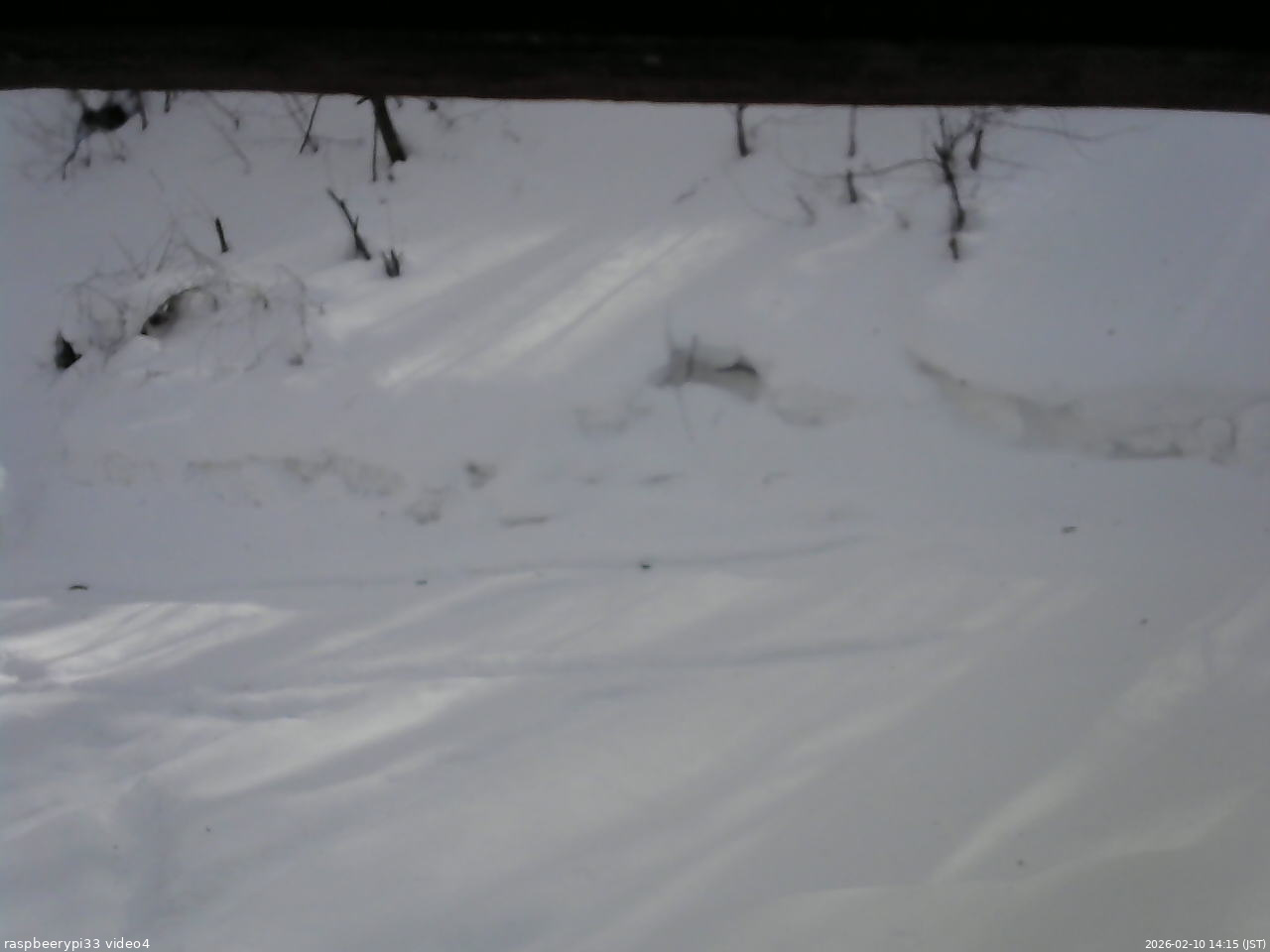 長野県菅平高原 ゆたか山荘 東側(坂下) 2026/02/10 14:15
