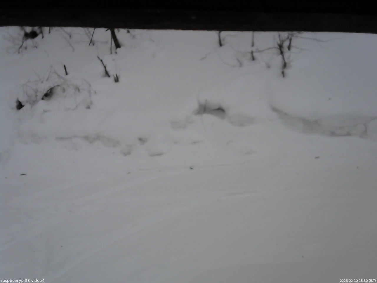 長野県菅平高原 ゆたか山荘 東側(坂下) 2026/02/10 15:30