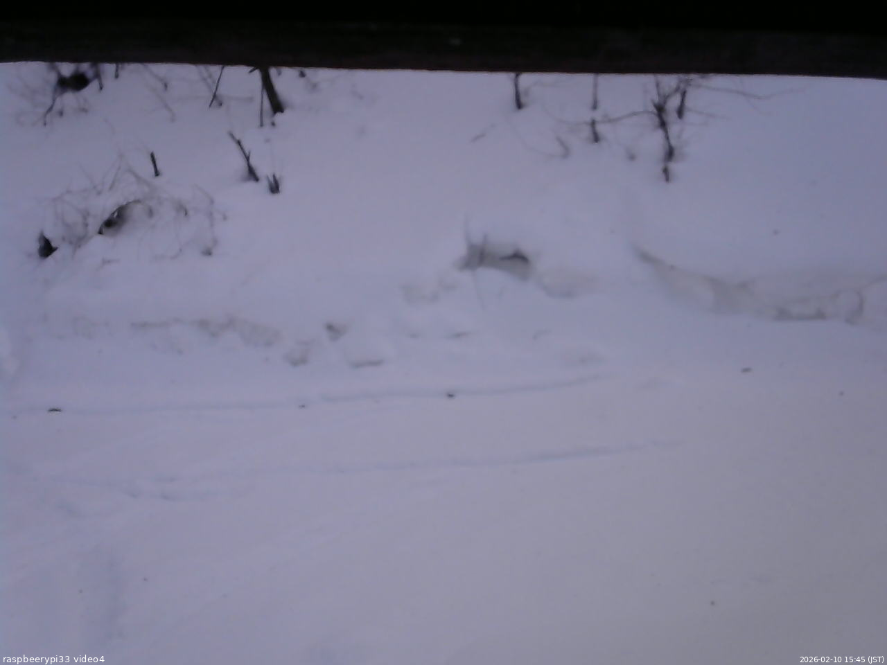 長野県菅平高原 ゆたか山荘 東側(坂下) 2026/02/10 15:45