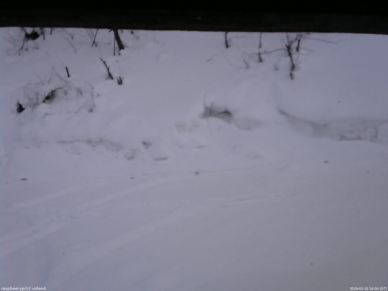 長野県菅平高原 ゆたか山荘 東側(坂下) 2026/02/10 16:00