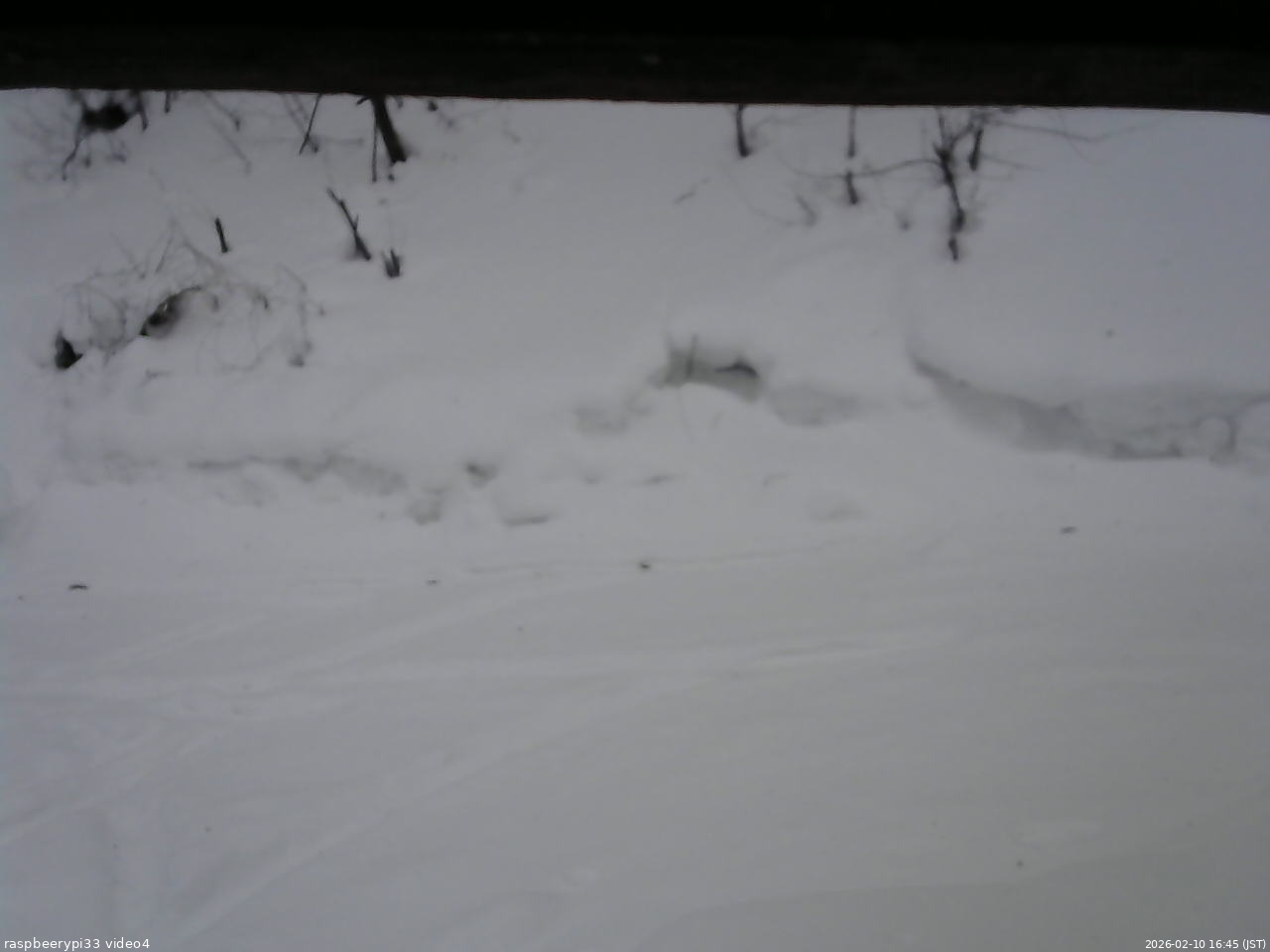 長野県菅平高原 ゆたか山荘 東側(坂下) 2026/02/10 16:45