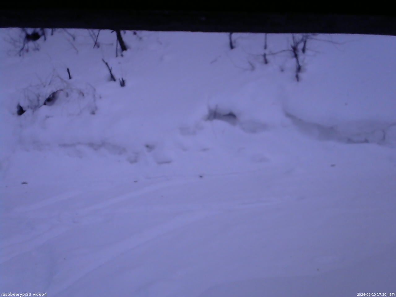 長野県菅平高原 ゆたか山荘 東側(坂下) 2026/02/10 17:30