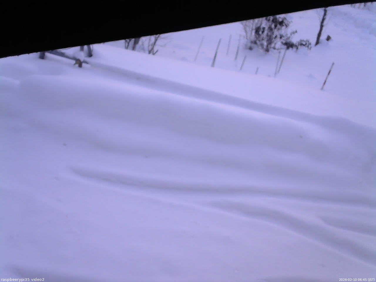 長野県菅平高原 ゆたか山荘 駐車場 2026/02/10 06:45