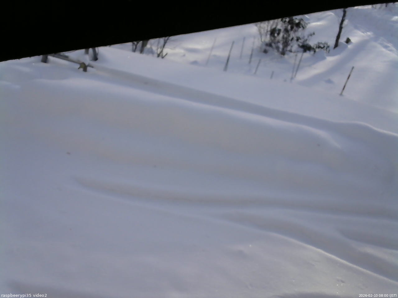 長野県菅平高原 ゆたか山荘 駐車場 2026/02/10 08:00
