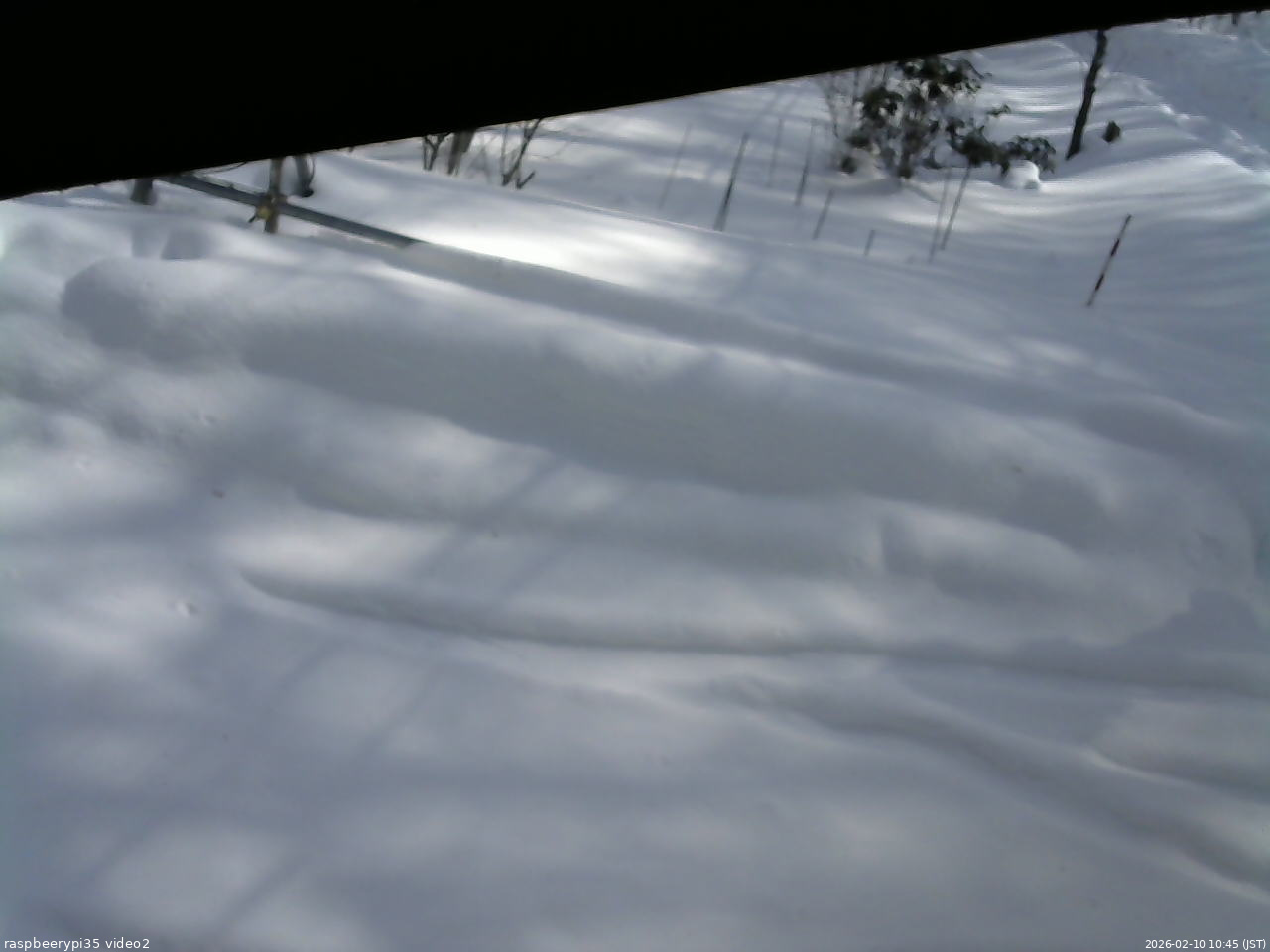長野県菅平高原 ゆたか山荘 駐車場 2026/02/10 10:45