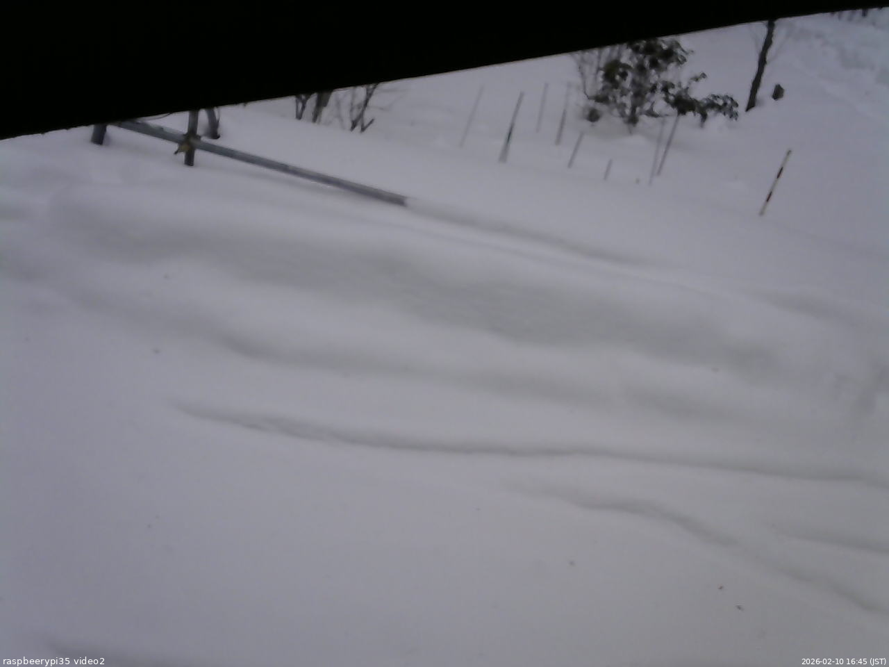 長野県菅平高原 ゆたか山荘 駐車場 2026/02/10 16:45