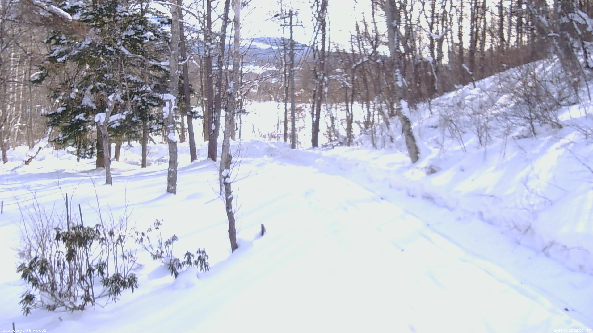 長野県菅平高原 ゆたか山荘 駐車場奥 2026/02/10 09:00