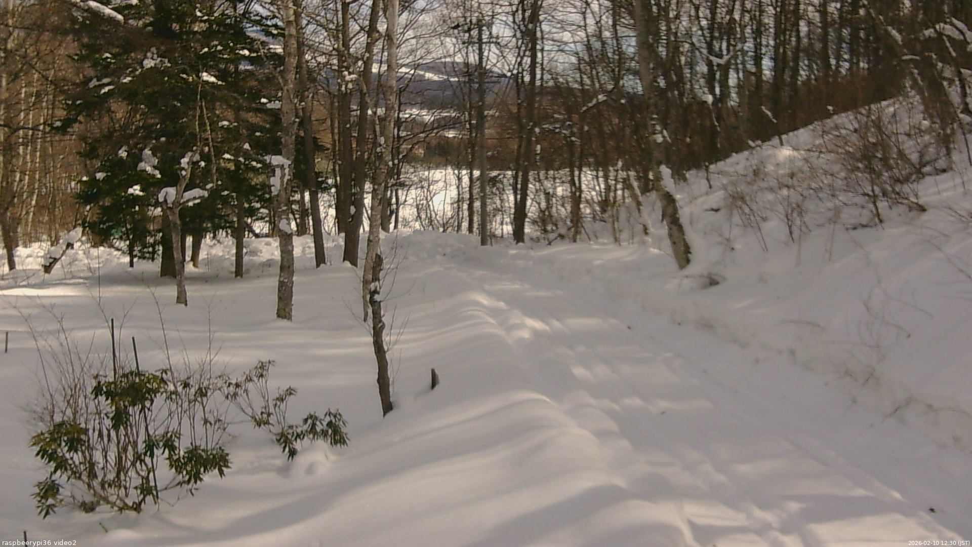 長野県菅平高原 ゆたか山荘 駐車場奥 2026/02/10 12:30