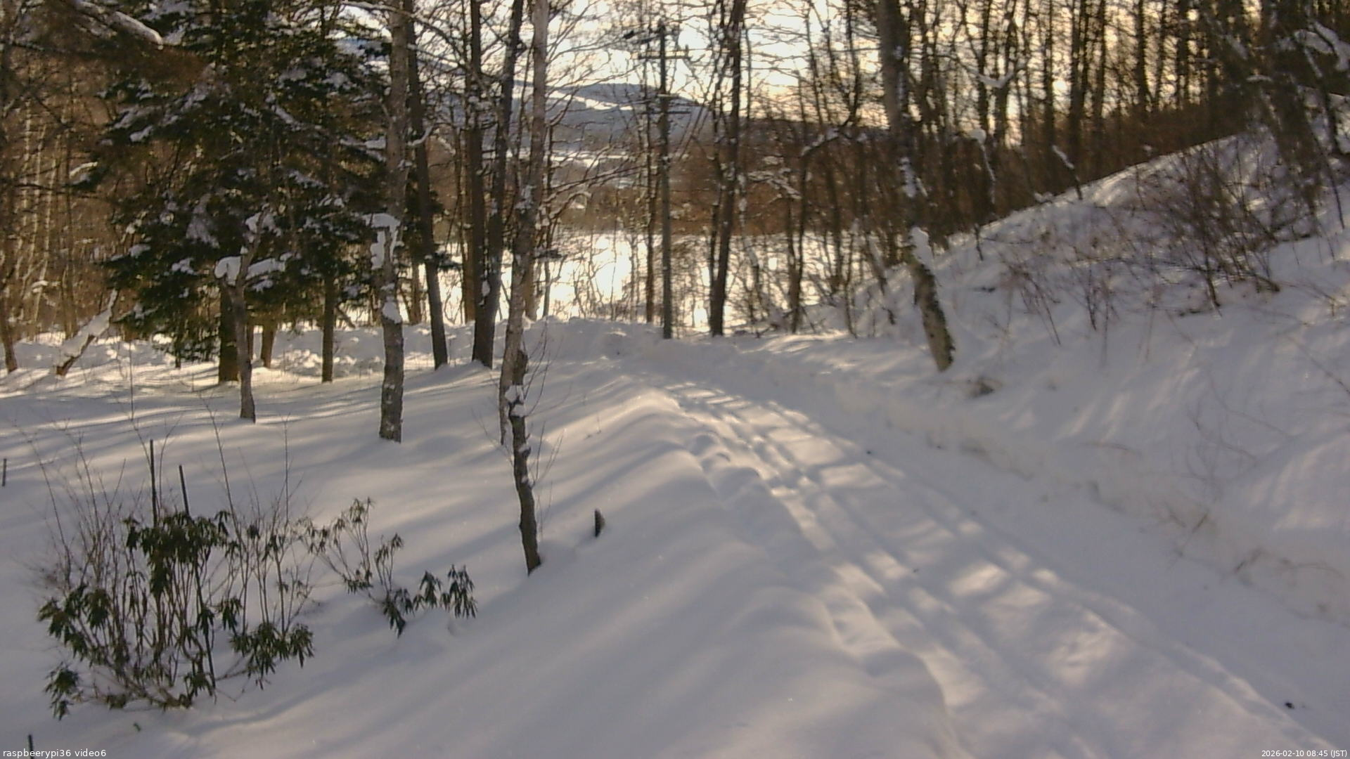長野県菅平高原 ゆたか山荘 坂下 2026/02/10 08:45