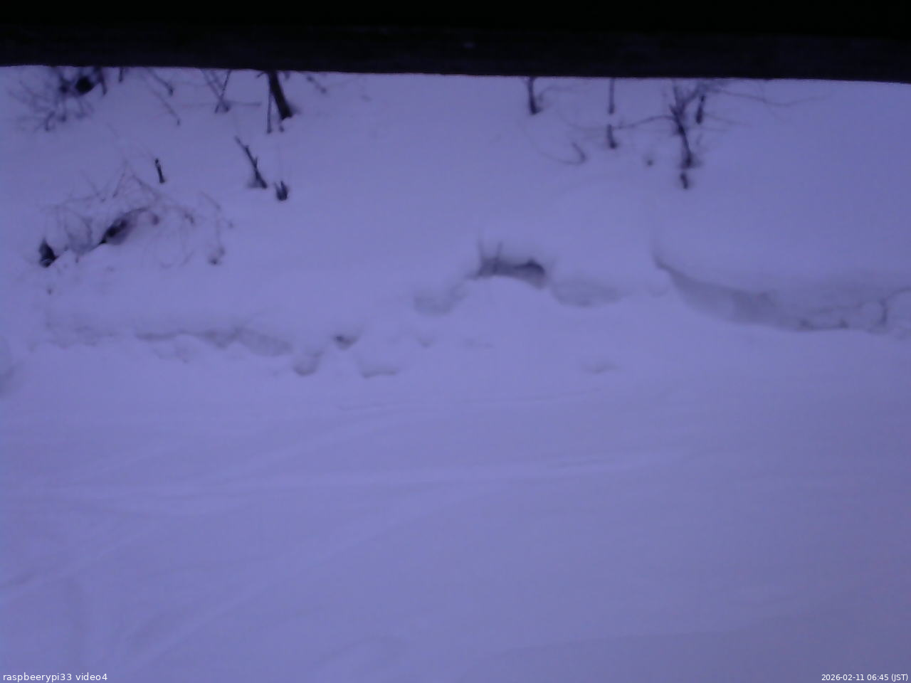 長野県菅平高原 ゆたか山荘 東側(坂下) 2026/02/11 06:45