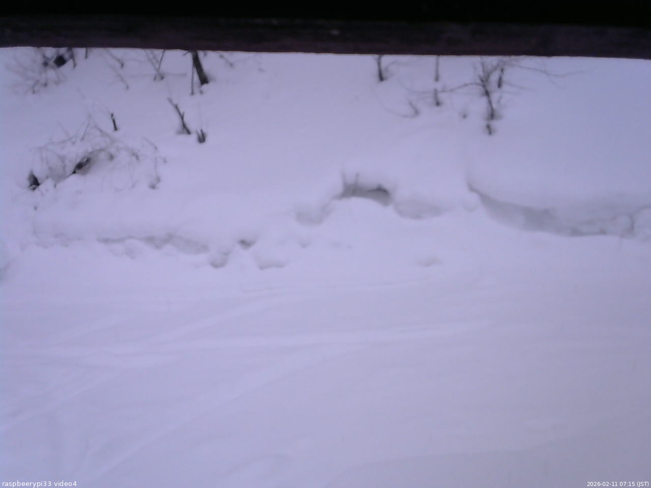 長野県菅平高原 ゆたか山荘 東側(坂下) 2026/02/11 07:15
