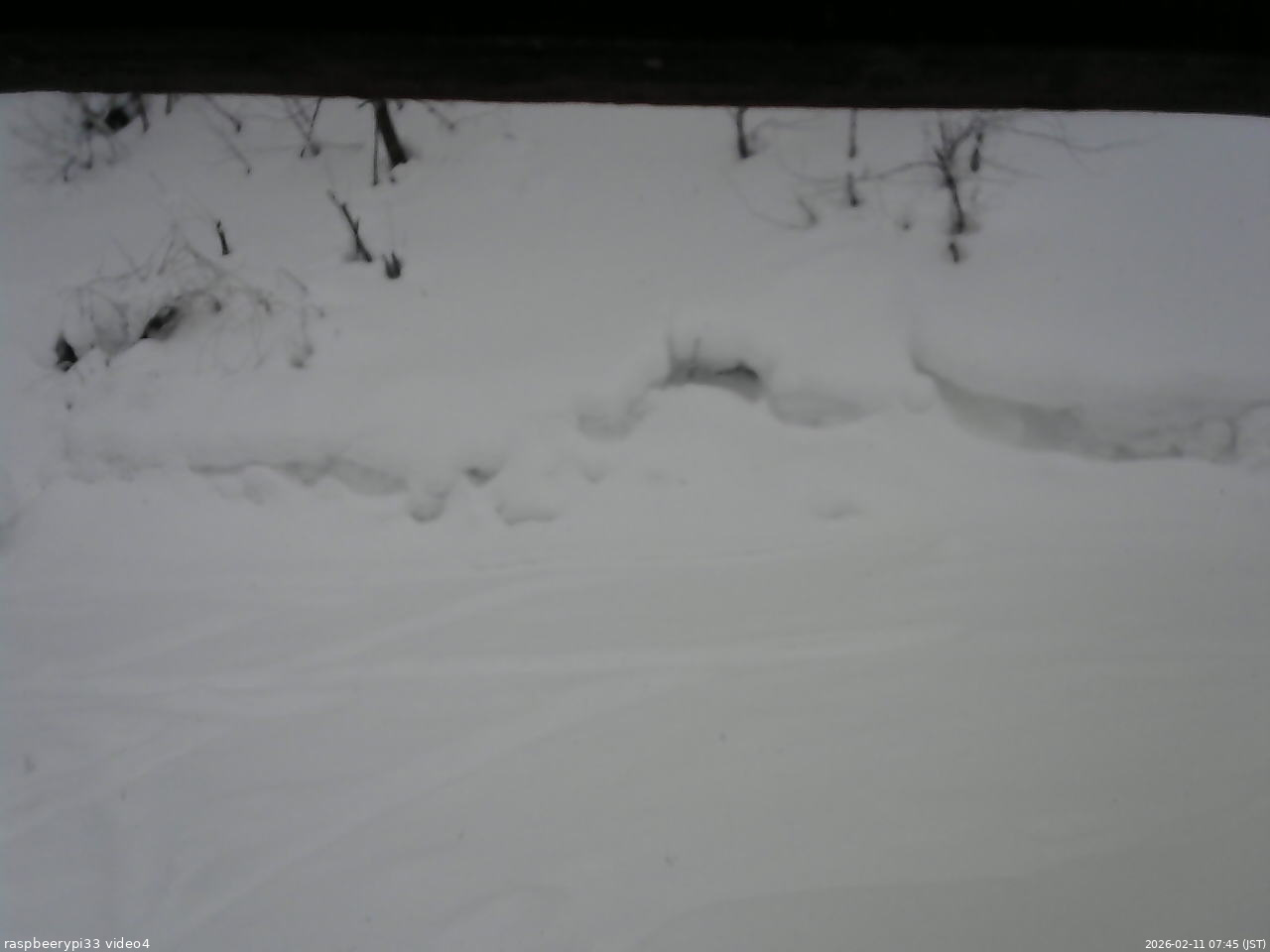長野県菅平高原 ゆたか山荘 東側(坂下) 2026/02/11 07:45