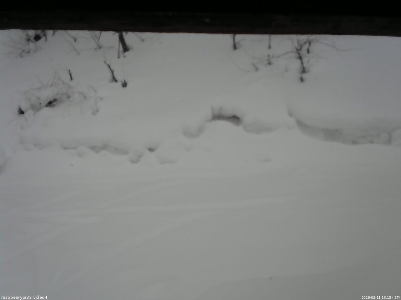 長野県菅平高原 ゆたか山荘 東側(坂下) 2026/02/11 13:15