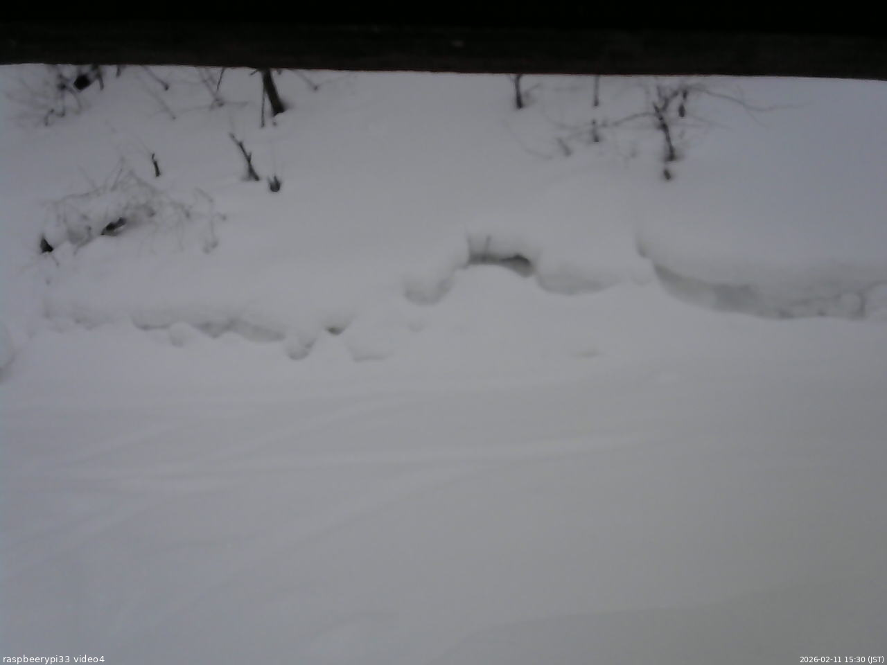 長野県菅平高原 ゆたか山荘 東側(坂下) 2026/02/11 15:30