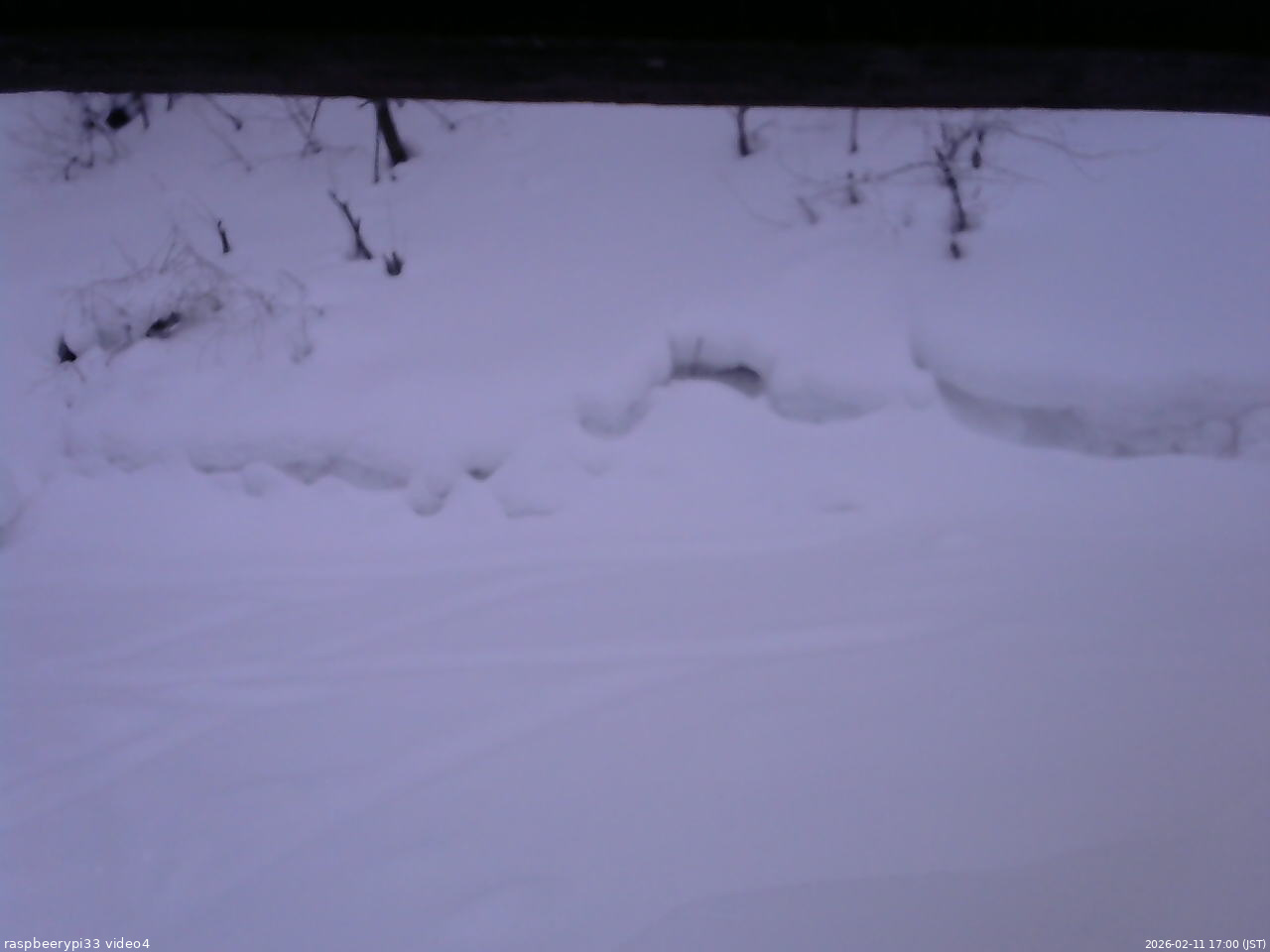 長野県菅平高原 ゆたか山荘 東側(坂下) 2026/02/11 17:00