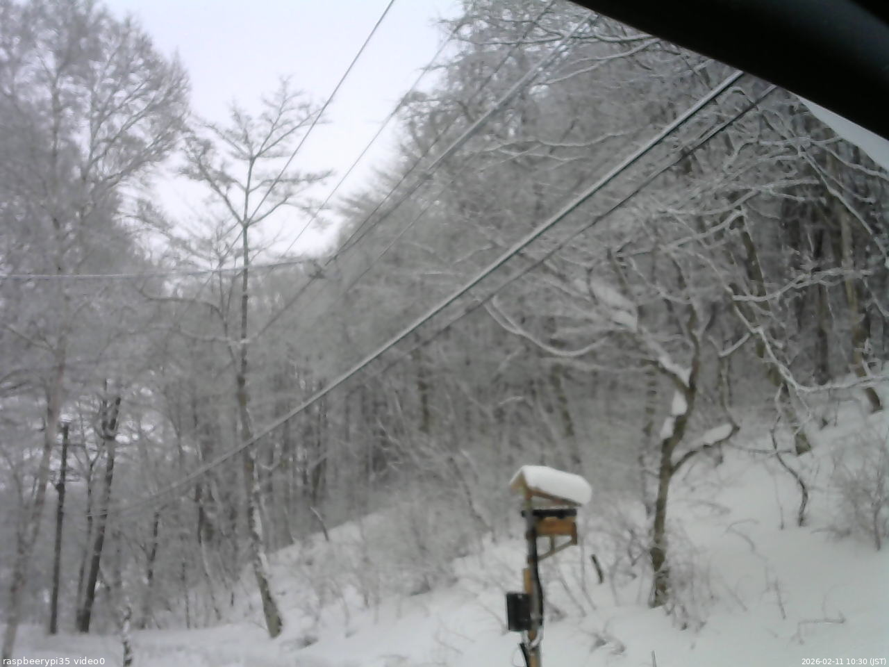 長野県菅平高原 ゆたか山荘 温度計 2026/02/11 10:30