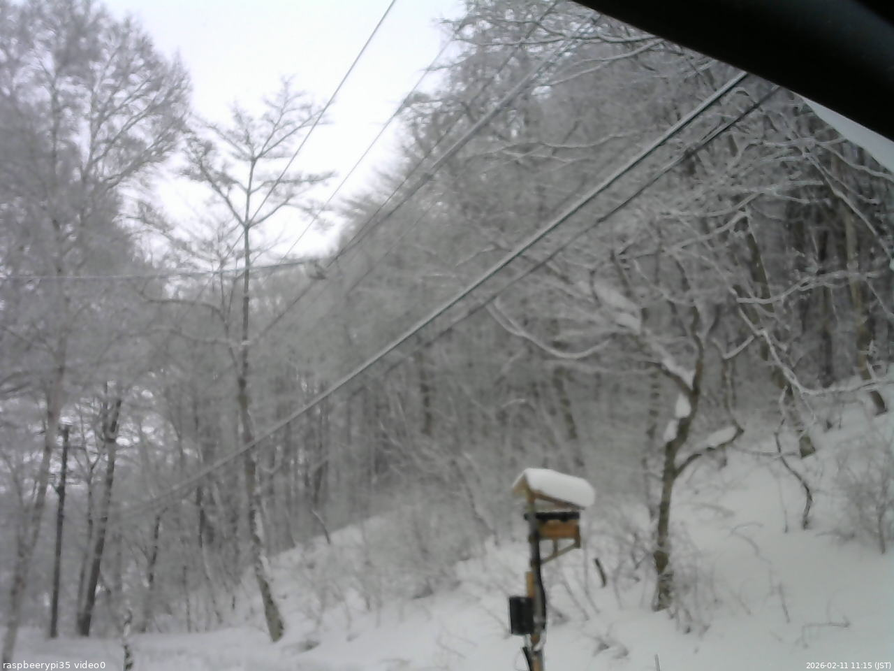長野県菅平高原 ゆたか山荘 温度計 2026/02/11 11:15