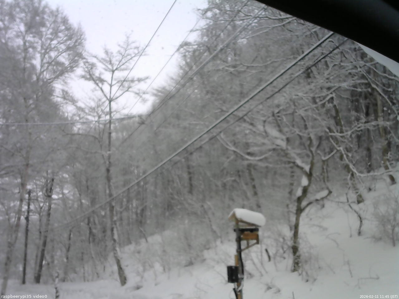 長野県菅平高原 ゆたか山荘 温度計 2026/02/11 11:45