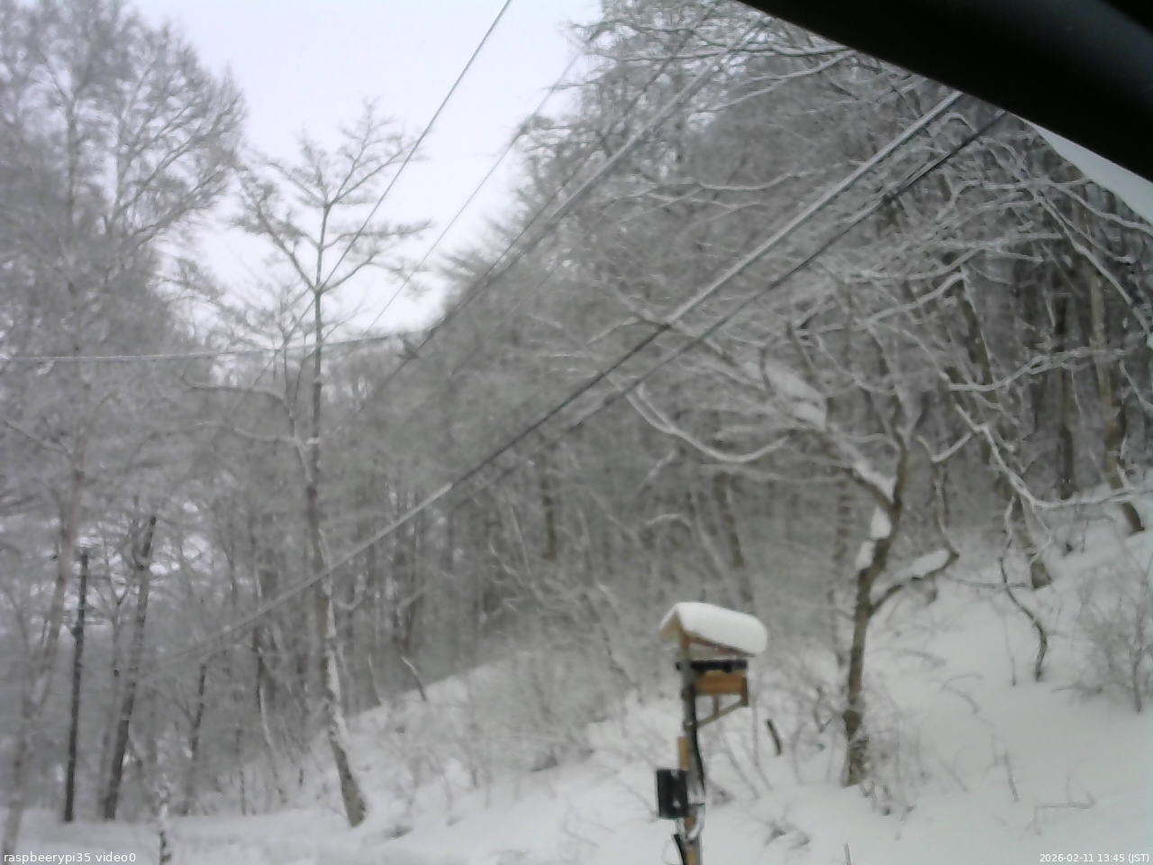 長野県菅平高原 ゆたか山荘 温度計 2026/02/11 13:45