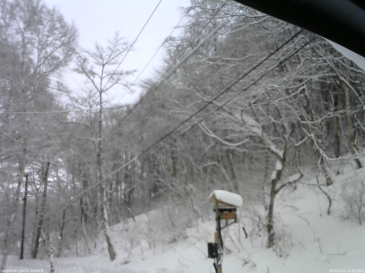 長野県菅平高原 ゆたか山荘 温度計 2026/02/11 15:00