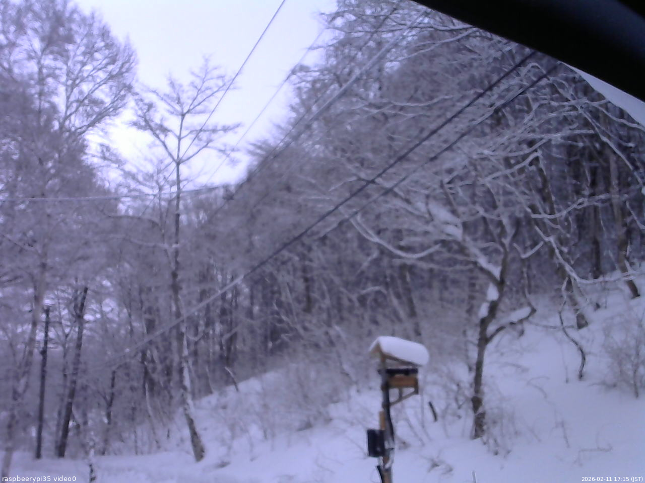 長野県菅平高原 ゆたか山荘 温度計 2026/02/11 17:15