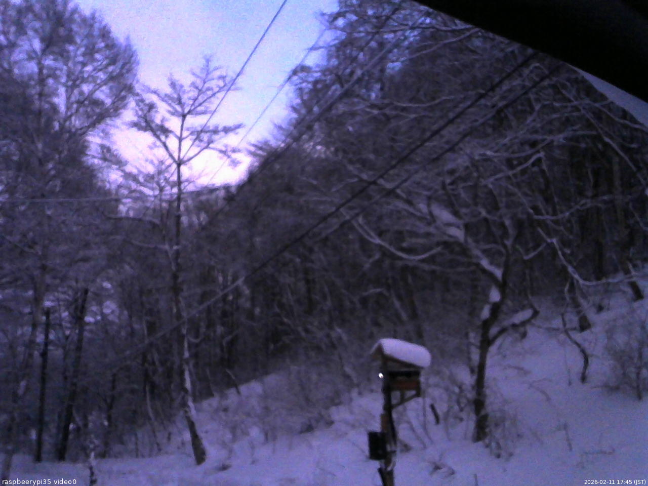 長野県菅平高原 ゆたか山荘 温度計 2026/02/11 17:45