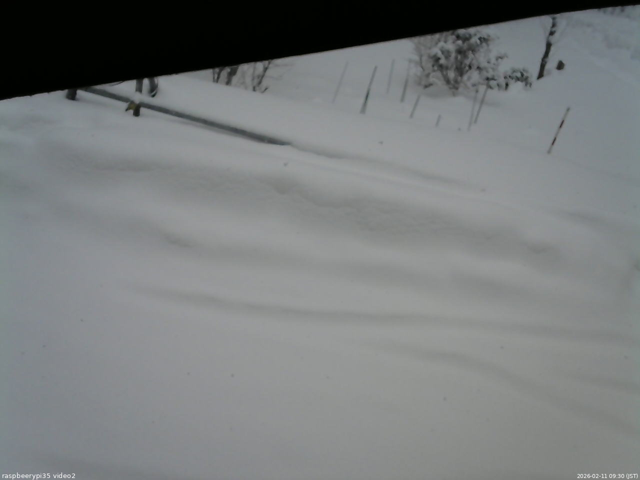 長野県菅平高原 ゆたか山荘 駐車場 2026/02/11 09:30