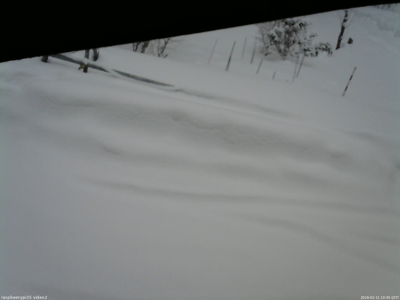 長野県菅平高原 ゆたか山荘 駐車場 2026/02/11 10:45