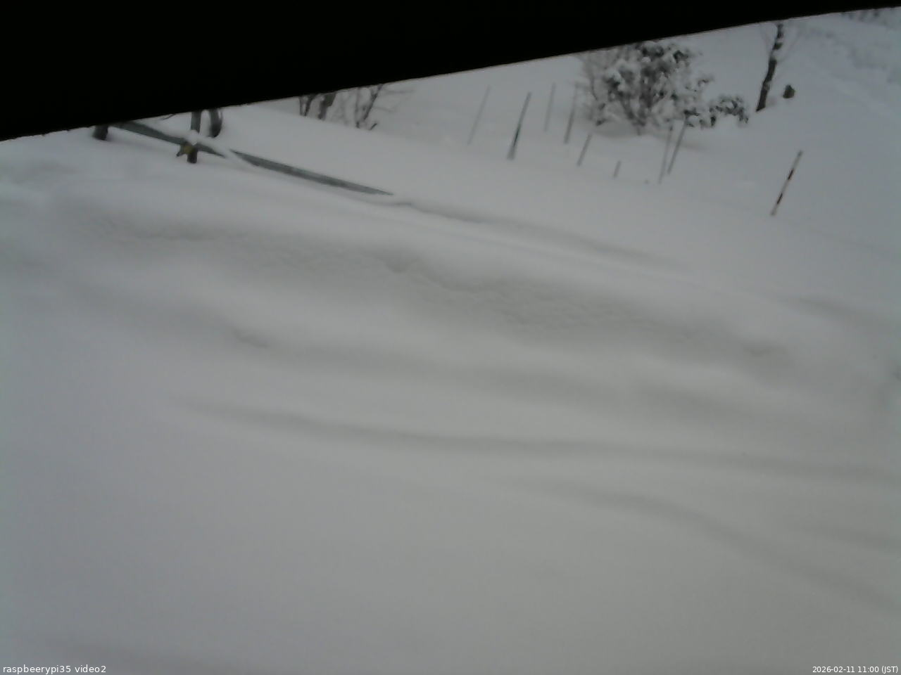 長野県菅平高原 ゆたか山荘 駐車場 2026/02/11 11:00