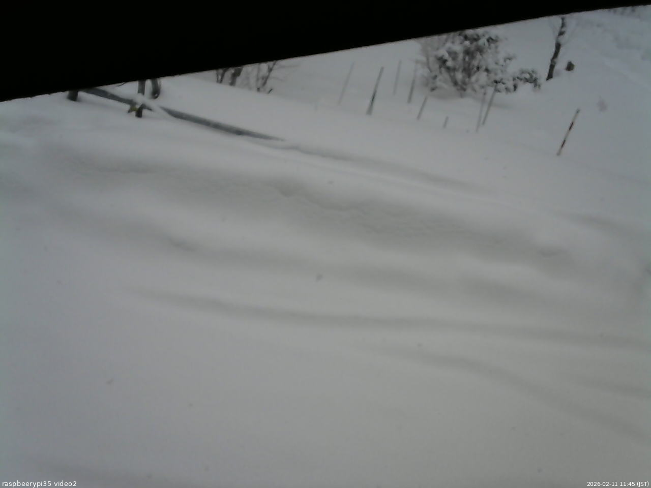 長野県菅平高原 ゆたか山荘 駐車場 2026/02/11 11:45