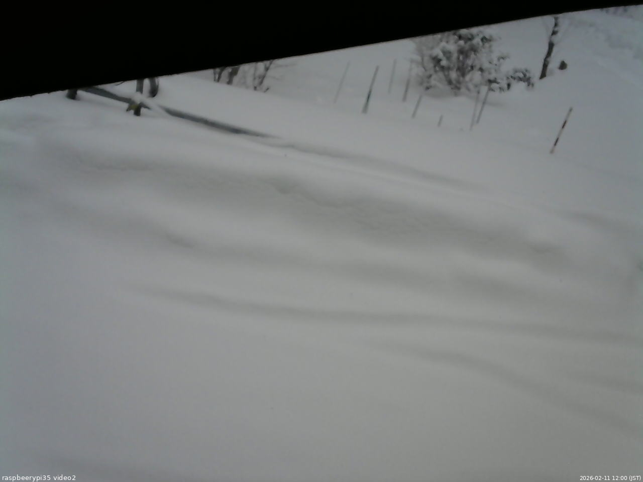 長野県菅平高原 ゆたか山荘 駐車場 2026/02/11 12:00