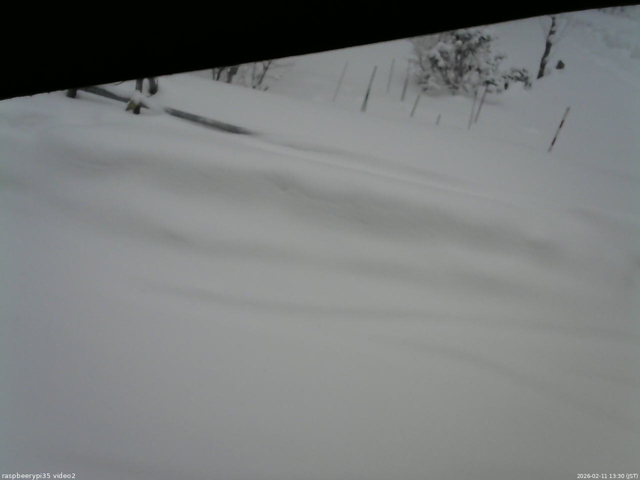 長野県菅平高原 ゆたか山荘 駐車場 2026/02/11 13:30