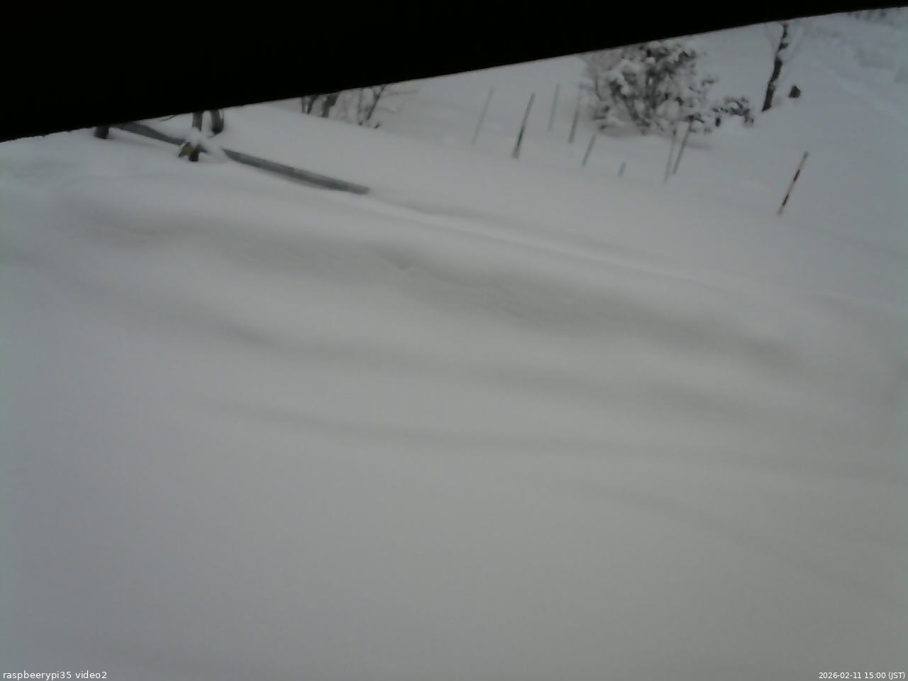 長野県菅平高原 ゆたか山荘 駐車場 2026/02/11 15:00