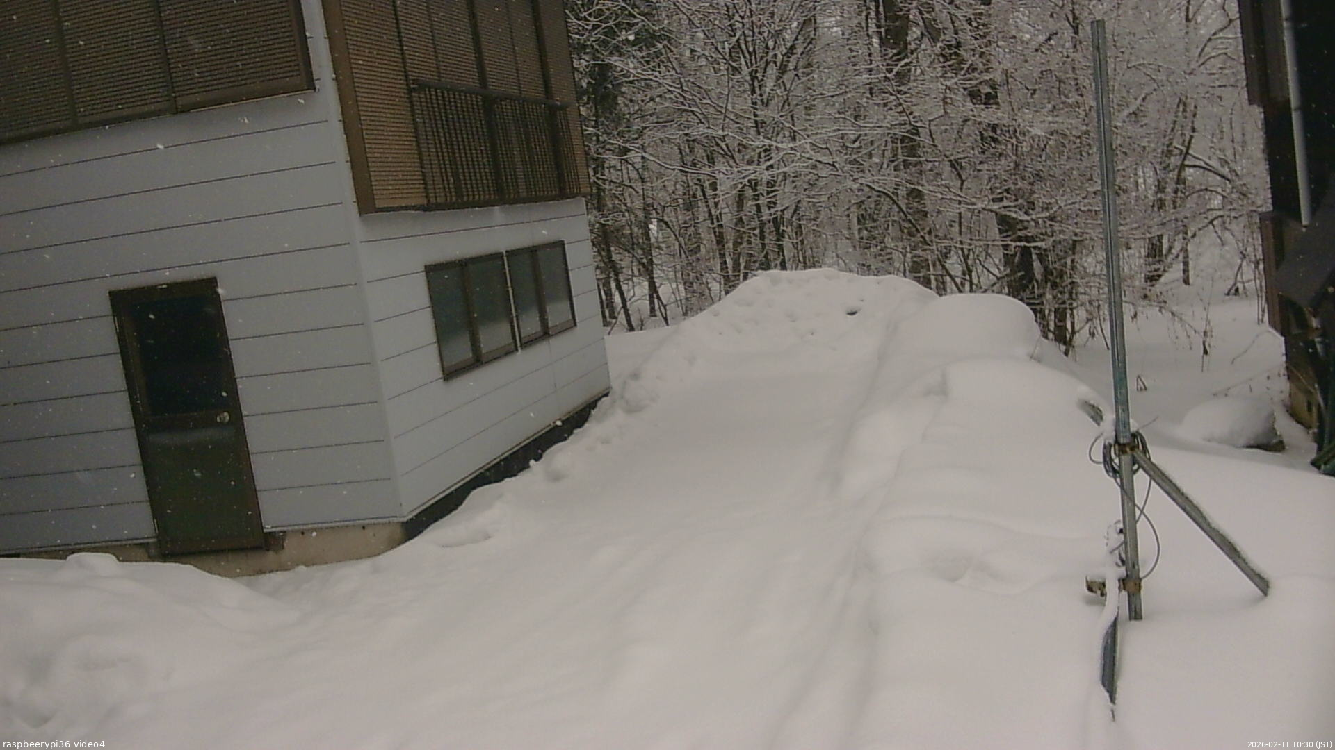 長野県菅平高原 ゆたか山荘 坂上 2026/02/11 10:30