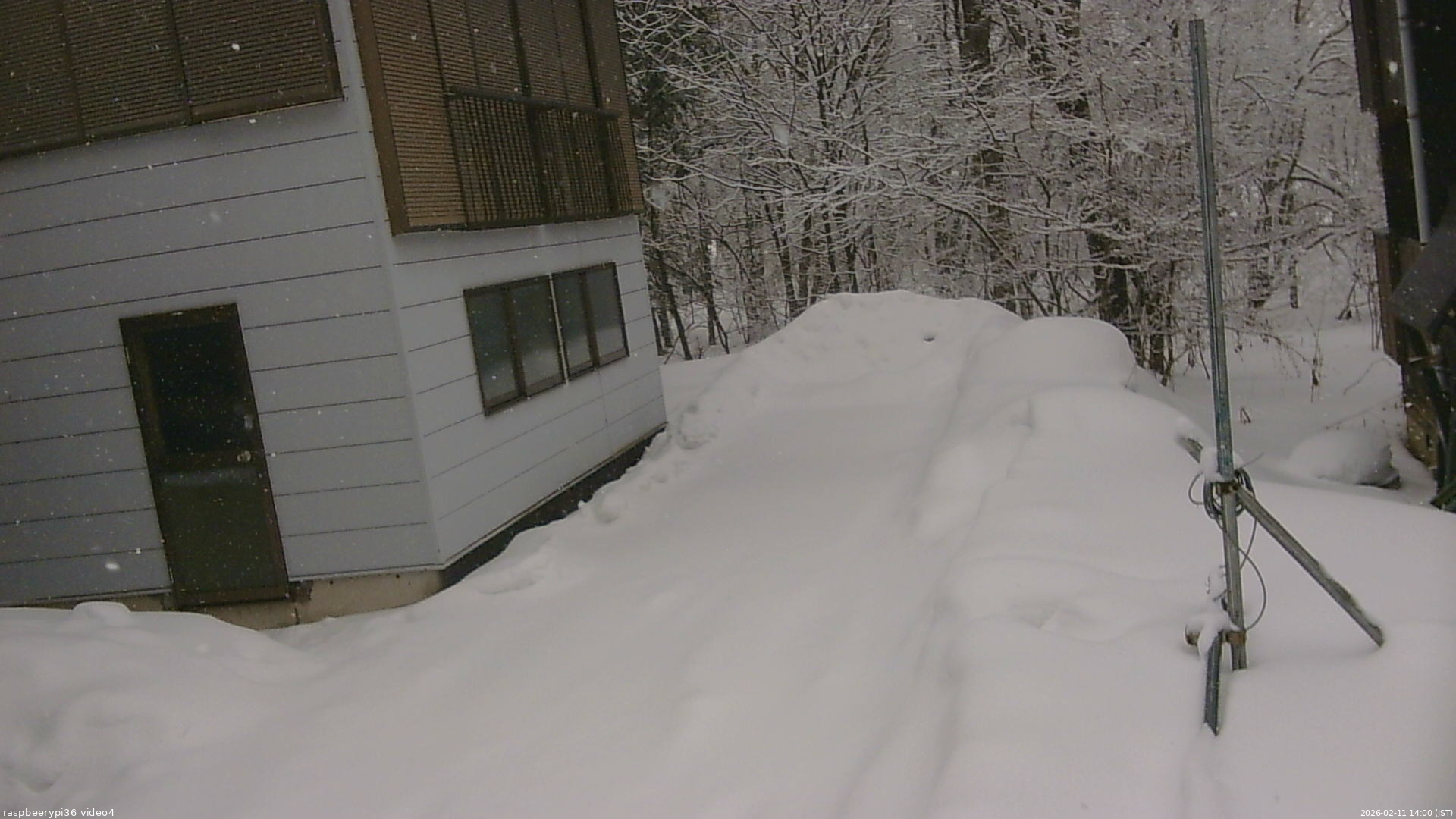 長野県菅平高原 ゆたか山荘 坂上 2026/02/11 14:00