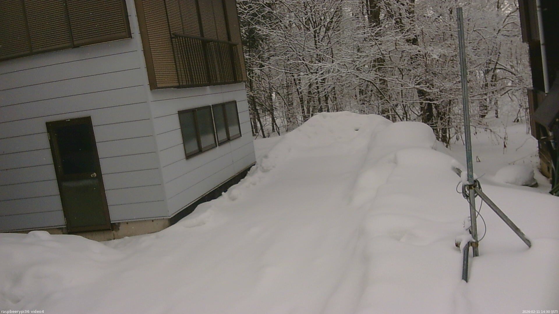 長野県菅平高原 ゆたか山荘 坂上 2026/02/11 14:30