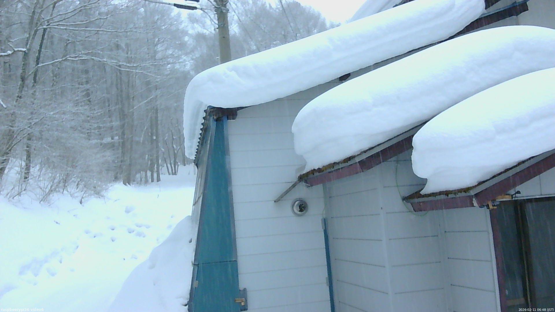 長野県菅平高原 ゆたか山荘 坂下 2026/02/11 06:45